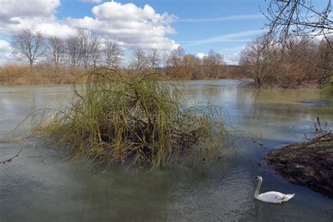 Marne River in Ile De France Stock Photo - Image of winter, france ...