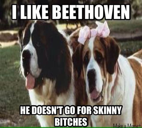 Funny Beethoven Meme Inspired By The Lovely Movie I Watched