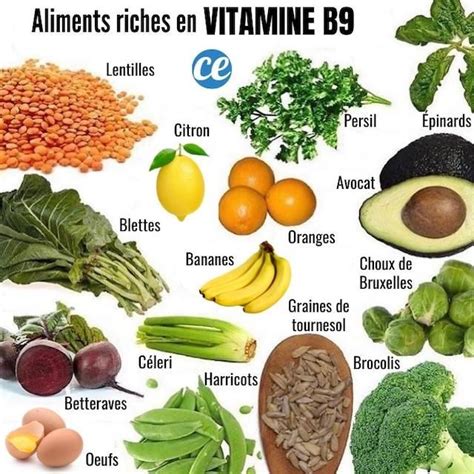 Vitamine B9 Les 16 Aliments Qui En Contiennent le Plus Pour Éviter