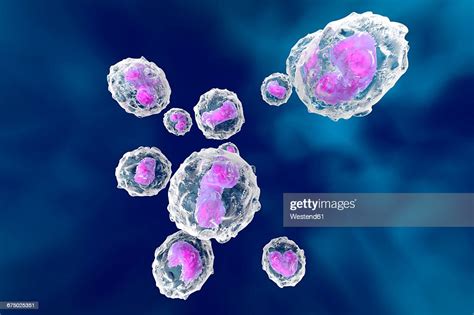 Monocytes Immune System Defense Cells 3d Rendered Illustration High-Res ...