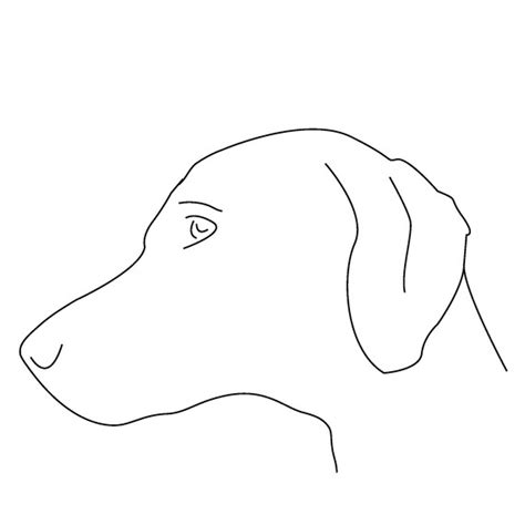 Digital Download: Weimaraner Dog Head Graphic/ Outline | Etsy