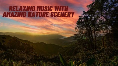 Relaxing Music With Amazing Nature Scenery YouTube