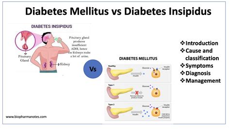 Diabetes Melitus Dan Insipidus