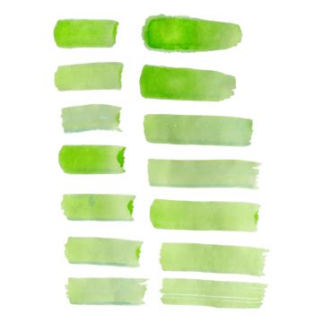 Green Vector Aesthetic Brush Set Green Brush Vector Green Brush Set