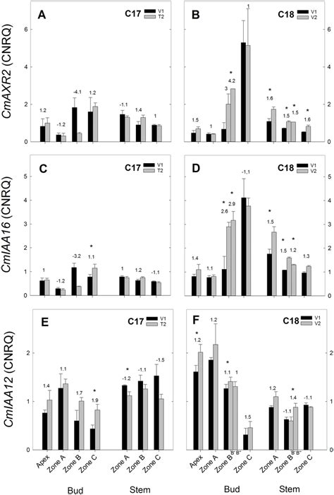 Rt Qpcr Gene Expression Analysis Of Auxin Response Genes For