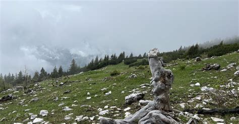 Hochobir Eisenkappel Vellach Sterreich Bergfex Wanderung Tour