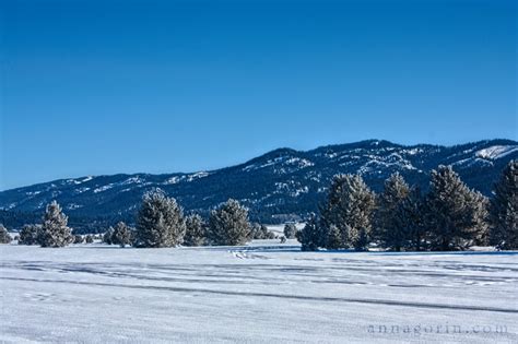 Mccall Winter Carnival 2012 Events Anna Gorin Photography Boise