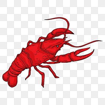 Crawfish Clipart Images | Free Download | PNG Transparent Background ...