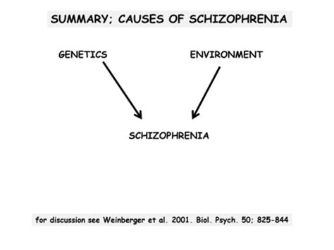 Lecture 7 Schizophrenia Ii Flashcards Quizlet