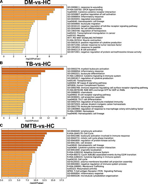 Heatmap Of Enriched Terms Across DEGs From Different Comparison Groups