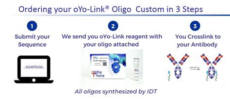 Oyo Link Antibody Oligo Conjugation Alphathera