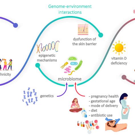 Main Risk Factors Associated With The Development Of Allergies