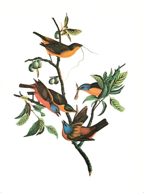 Two Birds Sitting On Top Of A Tree Branch With Leaves And Berries In It