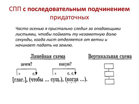 Тест спп