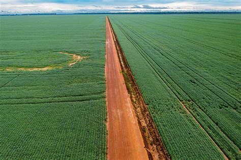 Giant Soy Fields Sinop Mato Grosso License Image 13705709