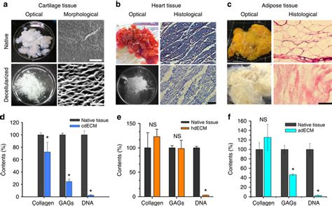 Decellularization Of The Native Tissues And Their Biochemical Analysis