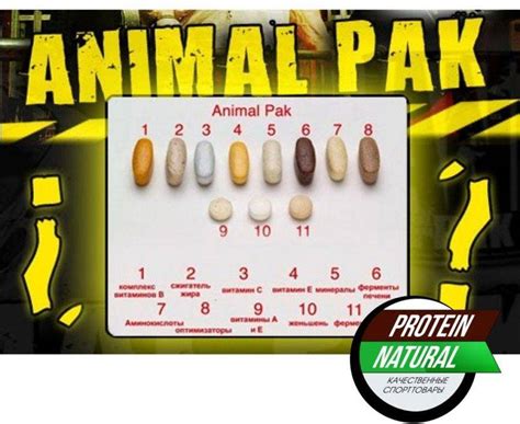 Animal pak (энимал пак) от universal nutrition
