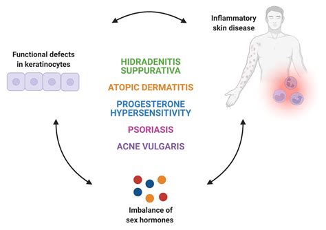 Ijms Free Full Text Unraveling The Role Of Sex Hormones On