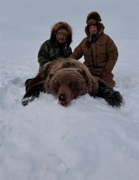 Arctic Grizzly Hunts Canadian High Arctic Adventures