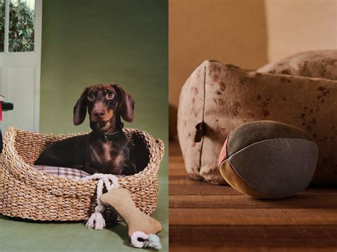 Zara Home launches pet collection: Here’s everything we want to buy ...