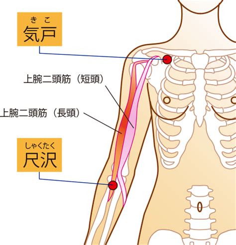 肩が痛くて腕があがりません（上腕二頭筋長頭腱炎） せんねん灸お灸ルームblog