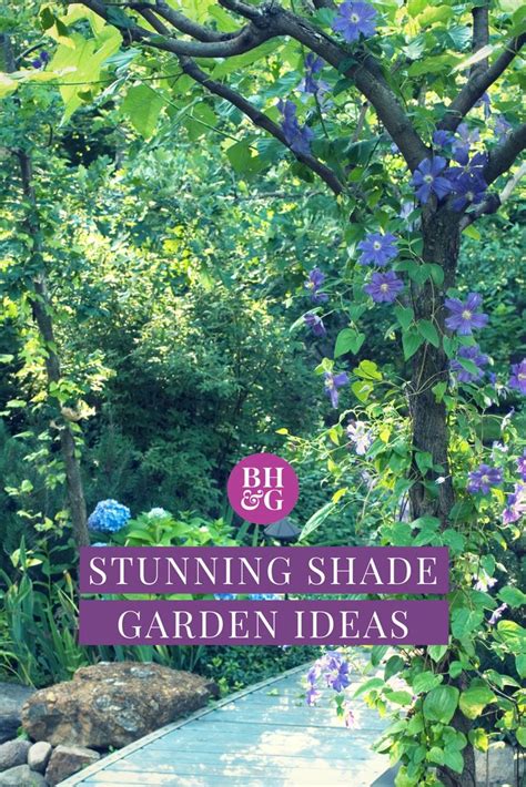 Shade Garden Design Ideas That Prove You Can Grow Colorful Plants