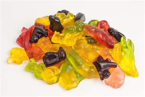 Gummy candy animals stock photo. Image of color, giraffe - 109693220