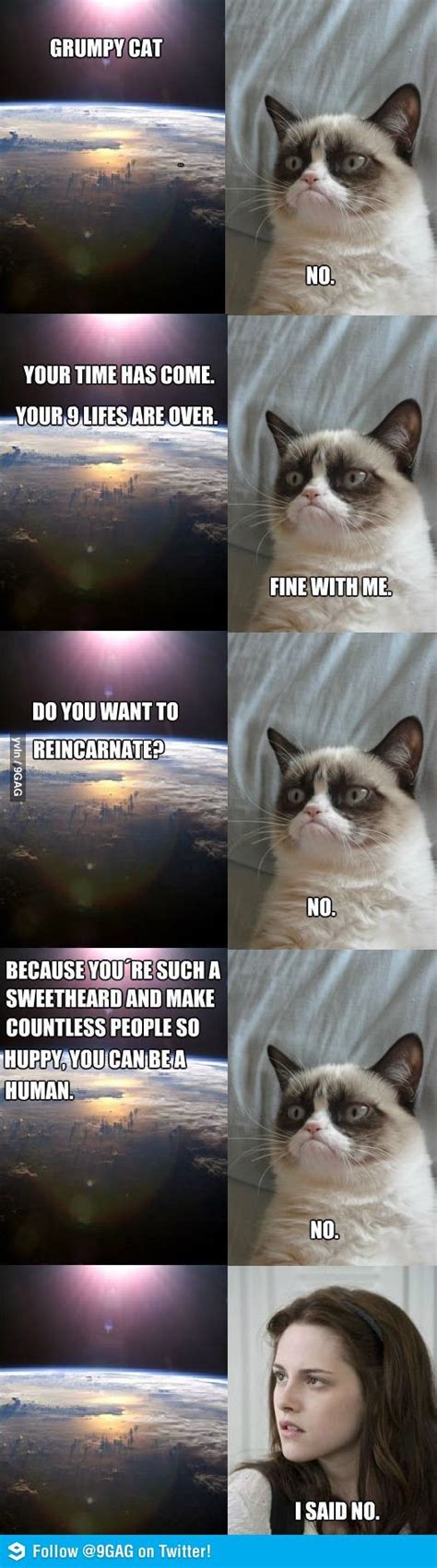 Grumpy Cat Dies Grumpy Cat Death And Cat