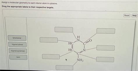 Solved Assign A Molecular Geometry To Each Interior Atom In Chegg