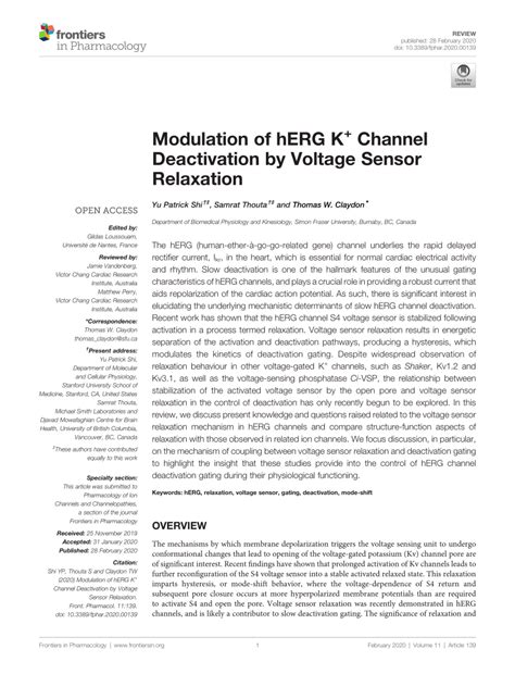 Pdf Modulation Of Herg K Channel Deactivation By Voltage Sensor