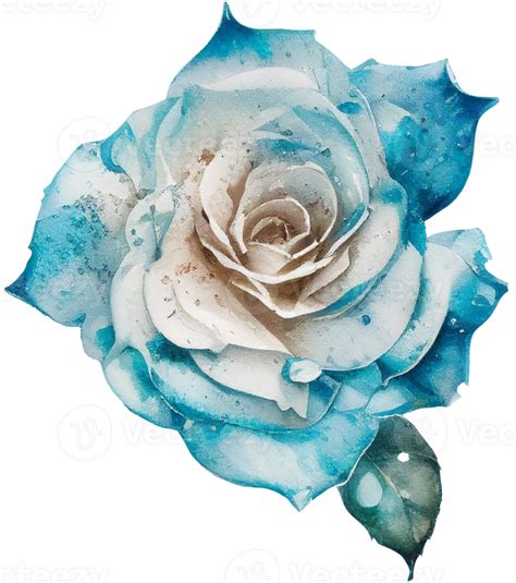 Watercolor Floral Roses Transparent Background 26674303 Png