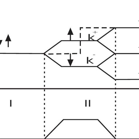 Spin Echo Obtained With A Wedge Setup The Echo Of The Polarization Is