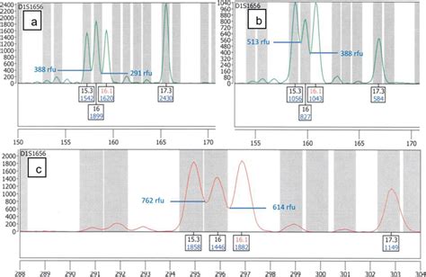 Electropherograms Of Gednap 47 Trace 4 Sample In The Locus D1s1656 With Download Scientific