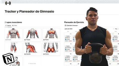 Tutorial Plantilla Para Rutinas Del Gimnasio Tutorial Desde