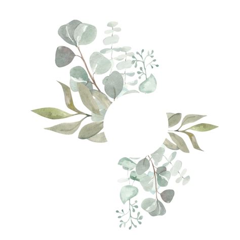 Premium Vector Watercolor Card With Eucalyptus Branch Hand Painted