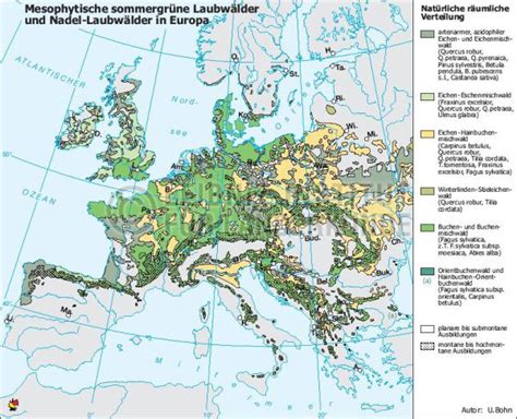 Mesophytische sommergrüne Laubwälder und Nadel Laubwälder 2003