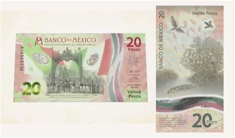 Te Decimos Cuándo Dejarán De Circular Los Billetes De 20 Pesos