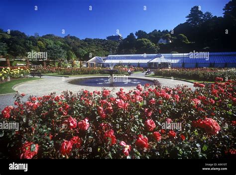 LADY NORWOOD ROSE GARDEN BOTANIC GARDEN WELLINGTON NORTH ISLAND NEW ...