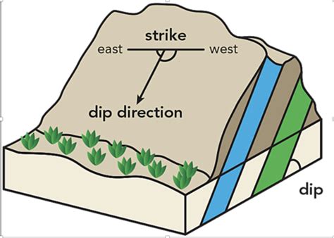 Chapter 7 Deformation Of Rocks Flashcards Quizlet