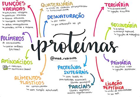 Mapas Mentais Sobre Proteinas Study Maps