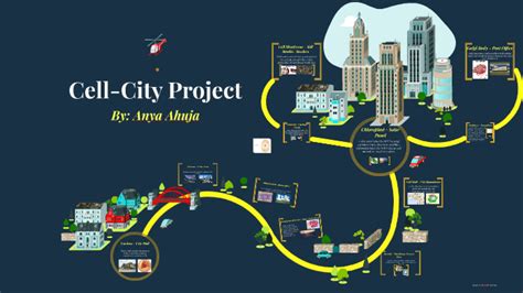 Cell City Model Project