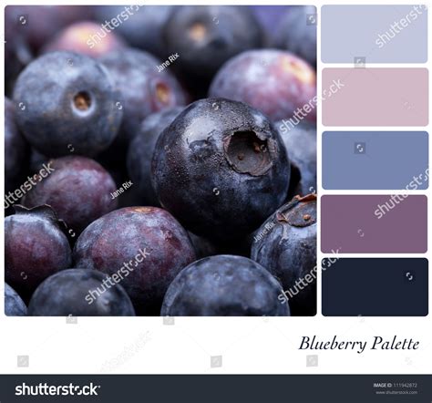 Fresh Blueberry Background Colour Palette With Complimentary Swatches