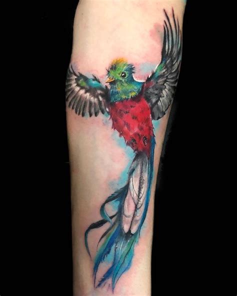 Top Best Quetzal Tattoo Ideas Inspiration Guide