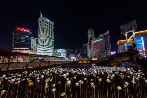 LED Rose Garden at Dongdaemun Design Plaza Editorial Image - Image of ...