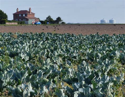 Isolated House South Of The A52 Mat Fascione Cc By Sa 2 0 Geograph