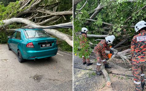 Pokok Tumbang Di Banda Hilir Penunggang Motosikal Cedera Fmt