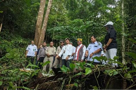 Demi Keseimbangan Alam Burung Burung Kacer Dilepasliarkan Di Gunung