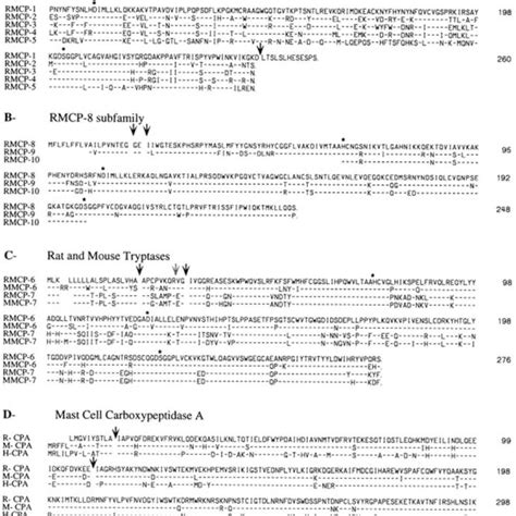 Amino Acid Sequence Comparison Of Mc Proteases Sequence Comparisons Of