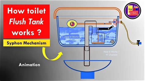 How Toilet Flush Tank Works Siphon Mechanism Animation Syphon