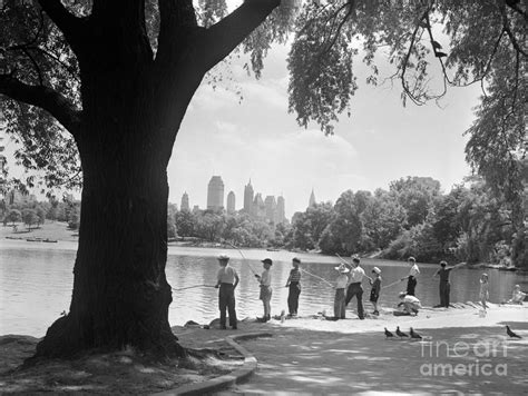 Boys Fishing In Central Park by Bettmann